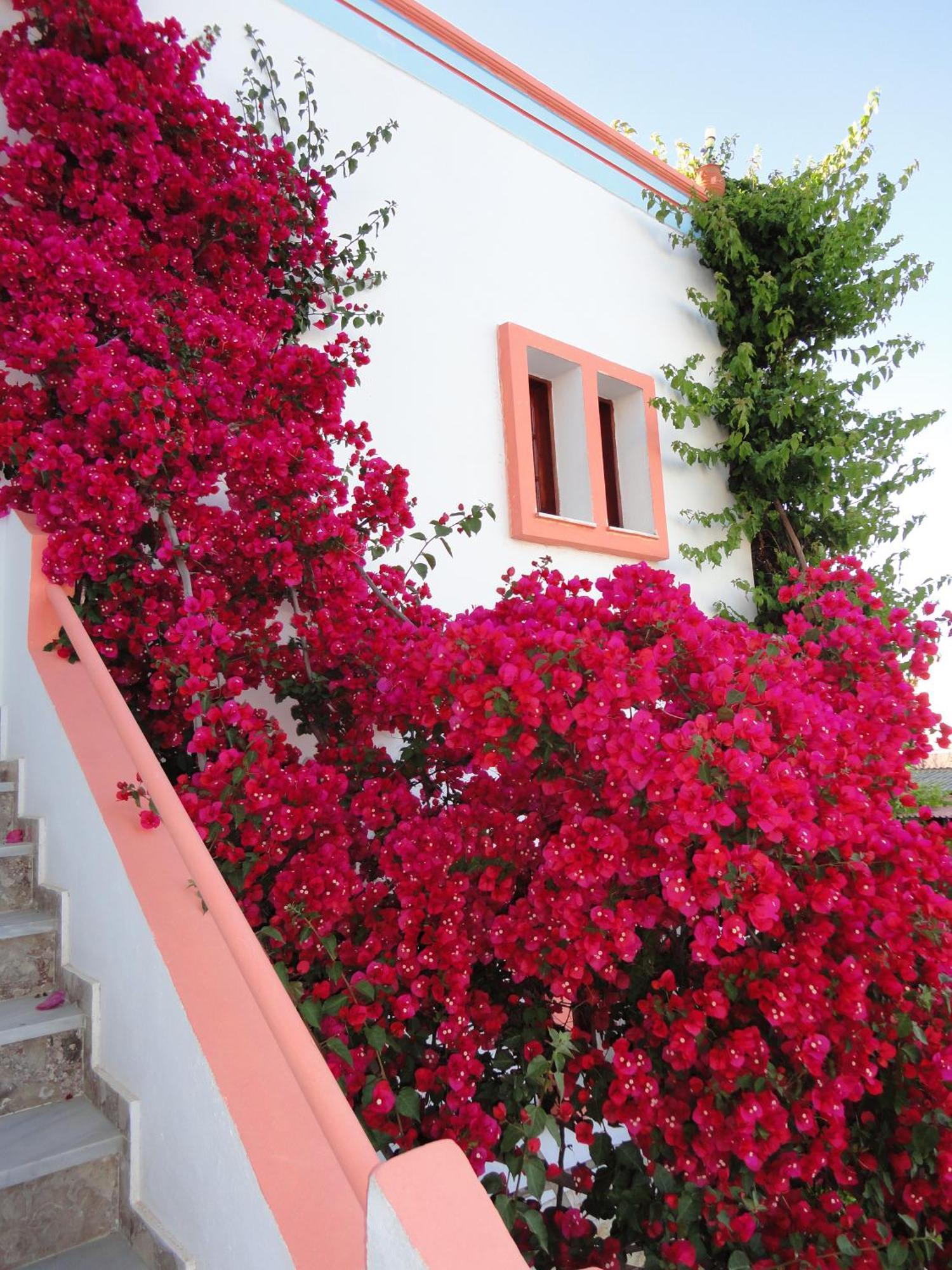 Villa Elizea Stalós Екстериор снимка