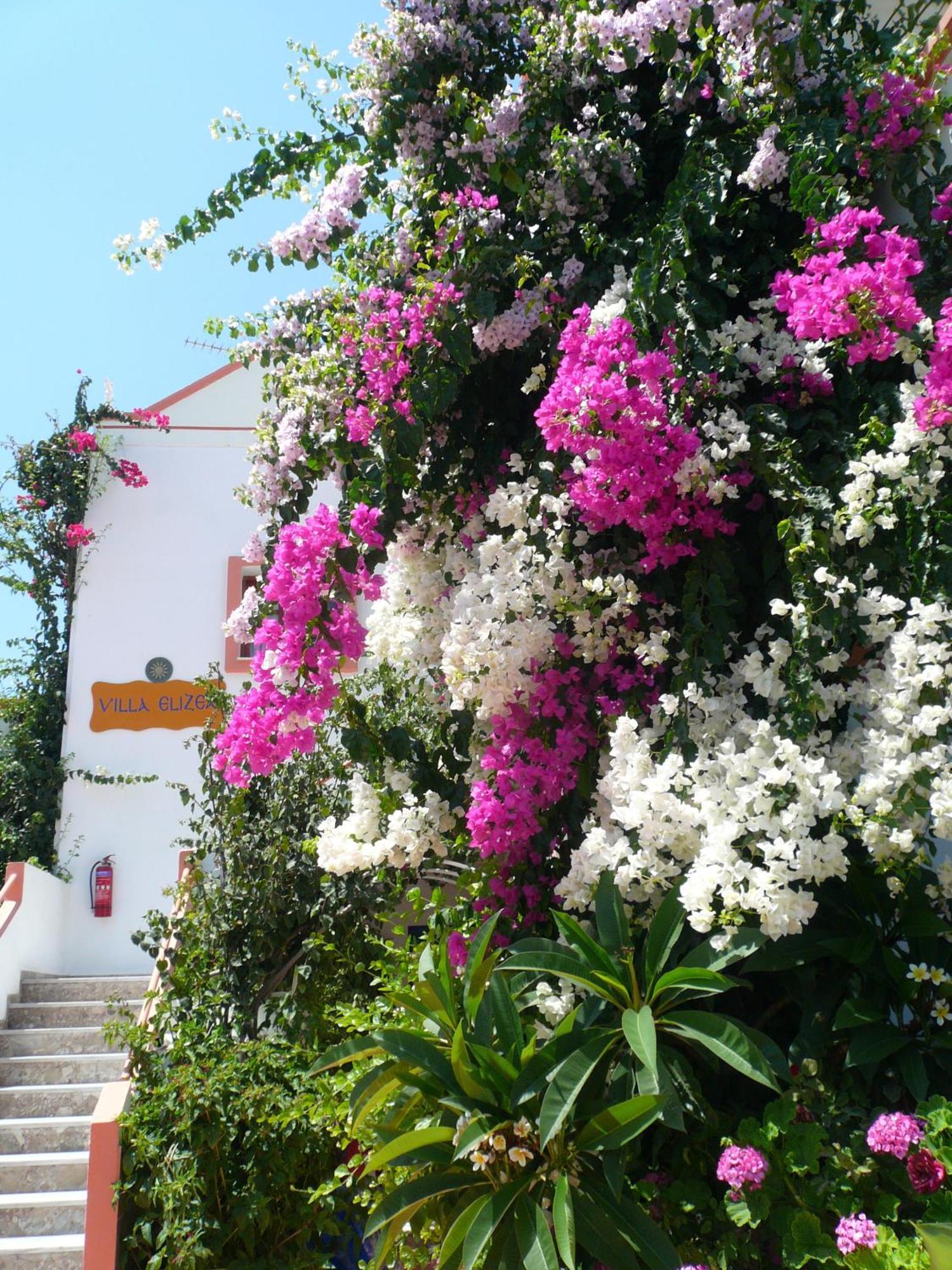Villa Elizea Stalós Екстериор снимка