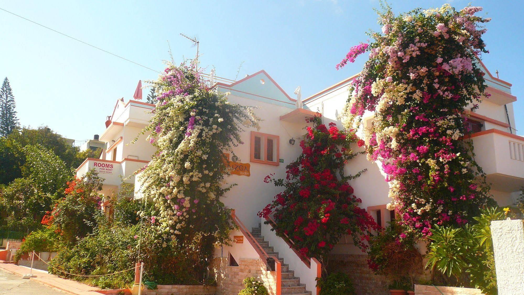 Villa Elizea Stalós Екстериор снимка